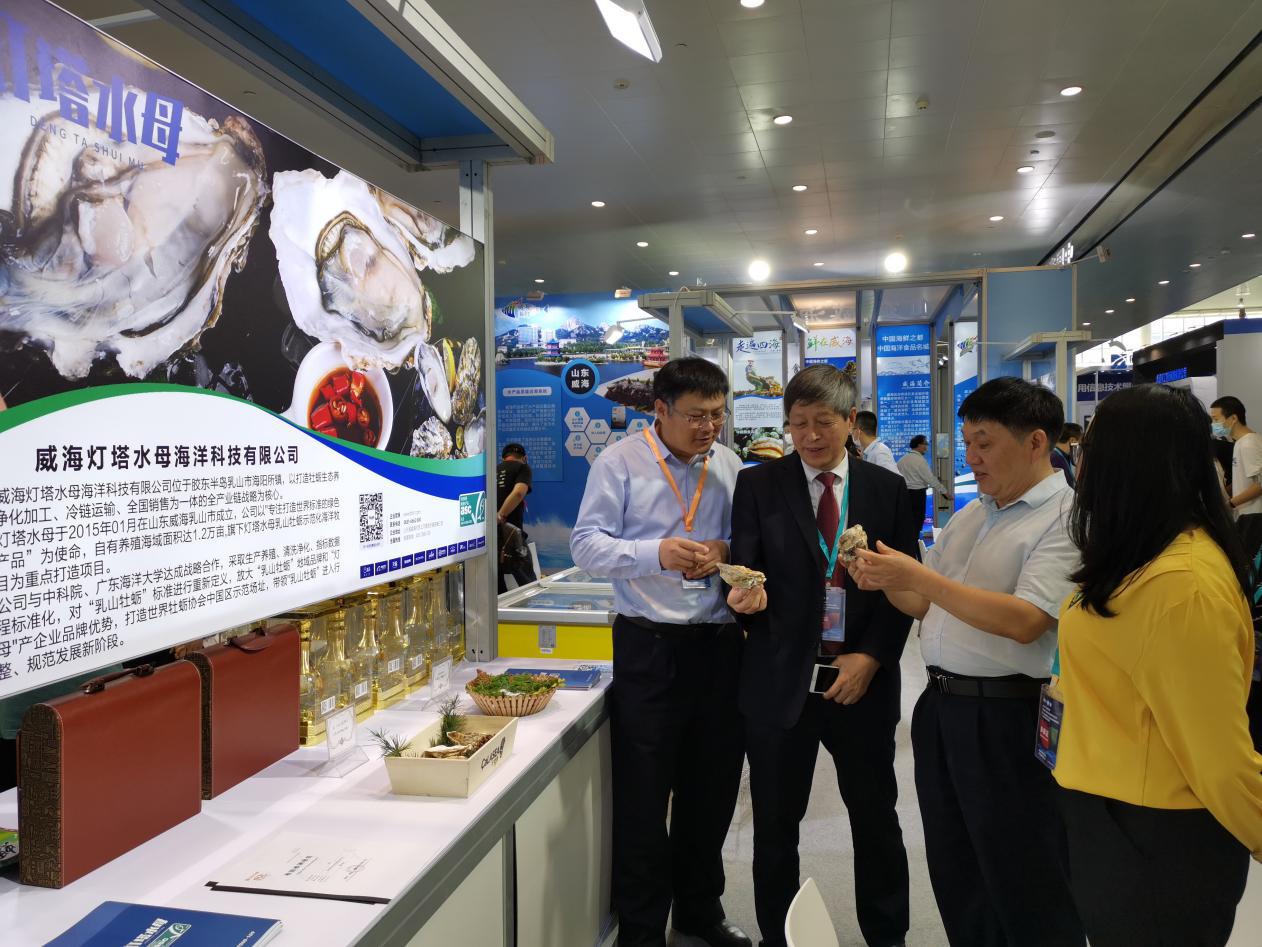 喜讯公司多个文化品牌作品获奖,喜讯光荣榜