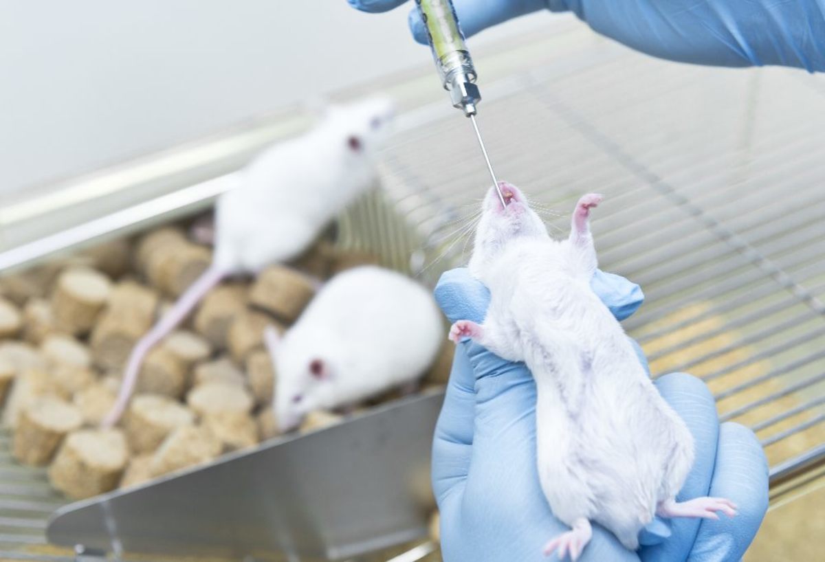 氯喹治疗冠状病毒,氯喹治疗新型冠状病毒的用法