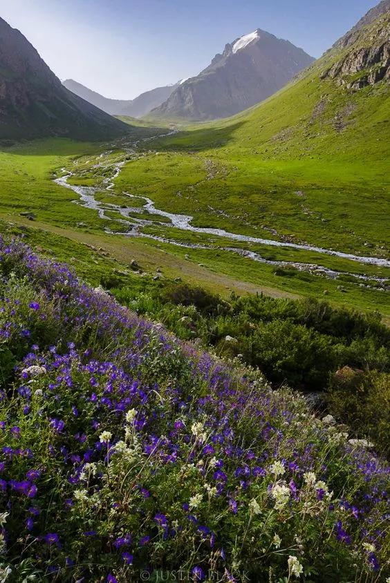 中国最没被认全的邻居,我国未被识别的民族有多少