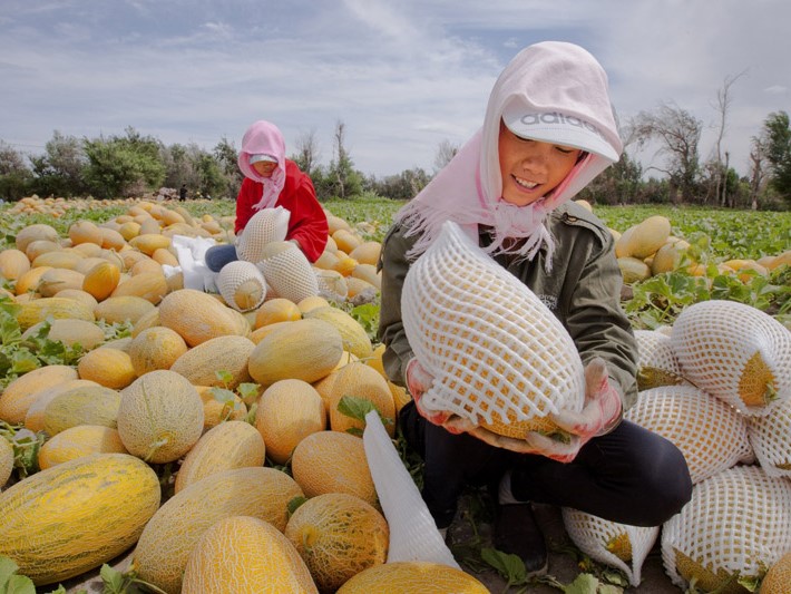 去了一趟新疆,去了一趟新疆的感受