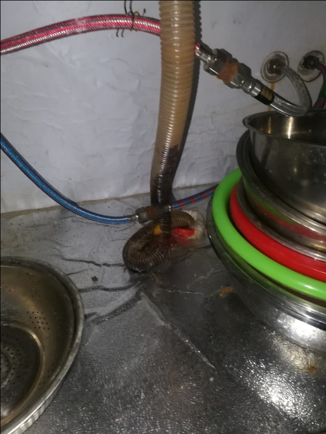 怎么捉家里的大老鼠,如何逮住家里的耗子