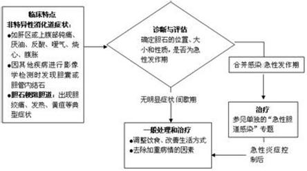 胆结石会引起黄疸腹疼吗,胆结石胆囊炎伴有黄疸应该怎么办