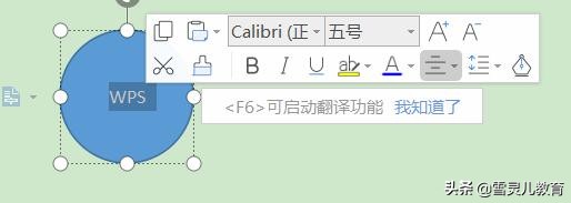 wps如何把圆形图标插入文字,wps圆形图表加文字