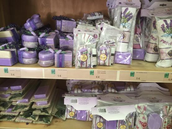 欧游散记原文,欧游散记无注释版