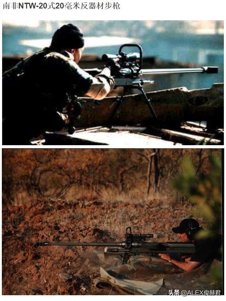 最大口径大象步枪,步枪大象