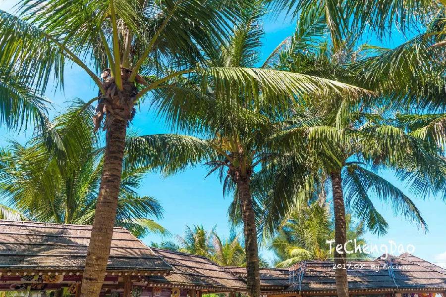 去湛江住特呈岛好还是住金沙湾好,今天湛江特呈岛风景区值得去吗