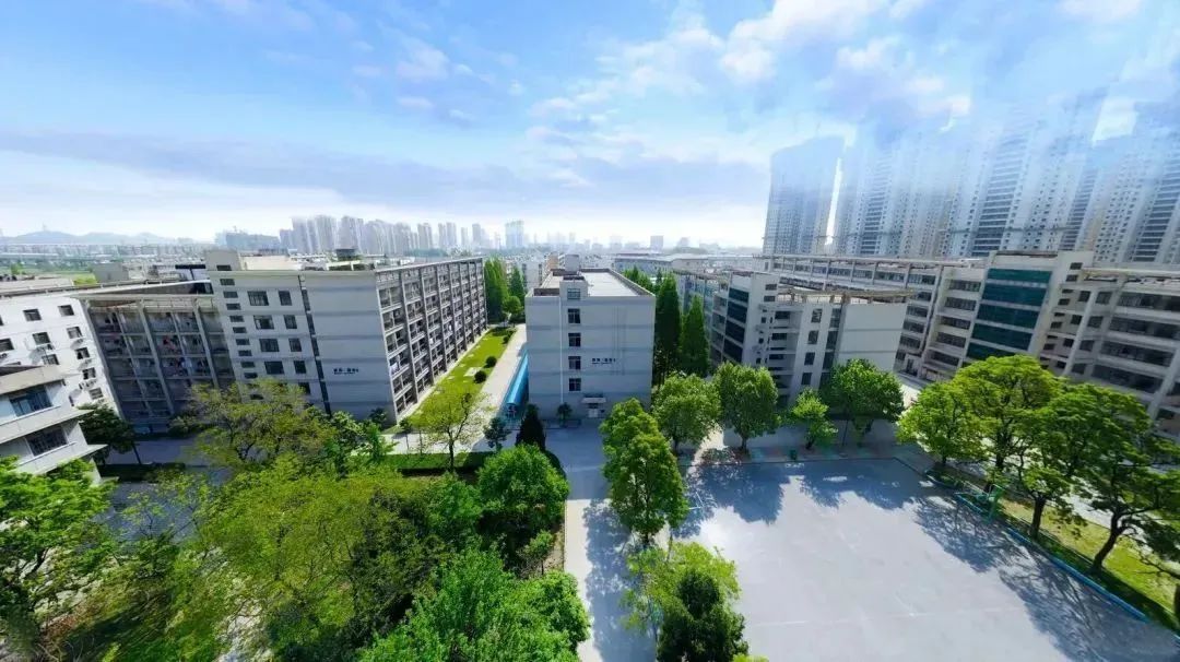 徐州生物工程职业学院2024年单招,徐州生物工程职业技术学院升本科