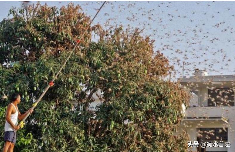 【法治热点早知道】一公司组织员工越野赛，为防作弊没收手机只给地图，致18人被困深山6人失联