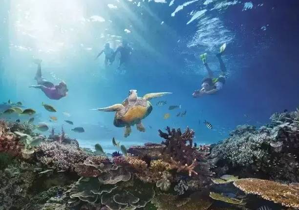 嘘！我要去澳洲了，不如一起吧