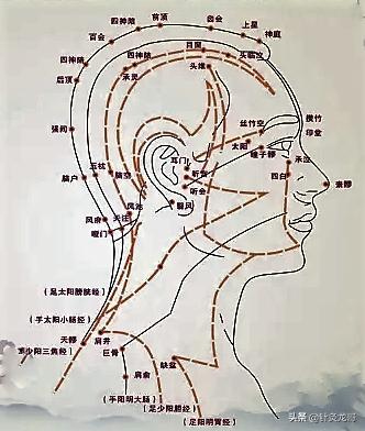 中医针灸头痛穴位图,头部经络走向图推拿手法