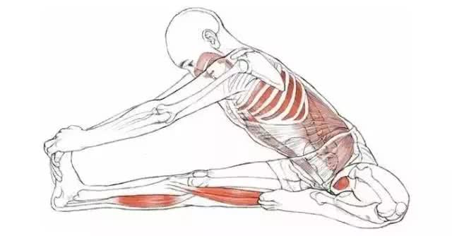 女人一定要学会保养身体,女人要学会保护身体