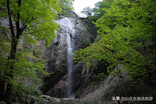 河南南召宝天曼风景区,被誉为物种基因库的是什么