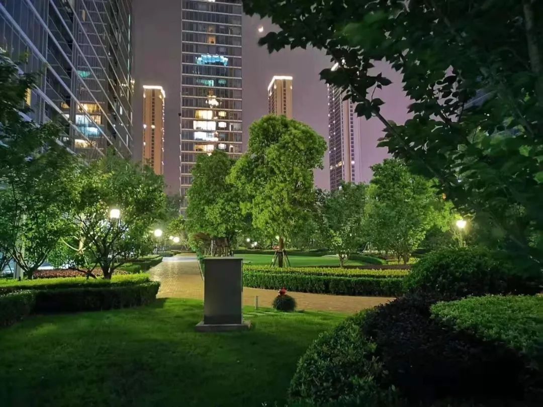 终于，东亭苦等已久的“标杆”来了