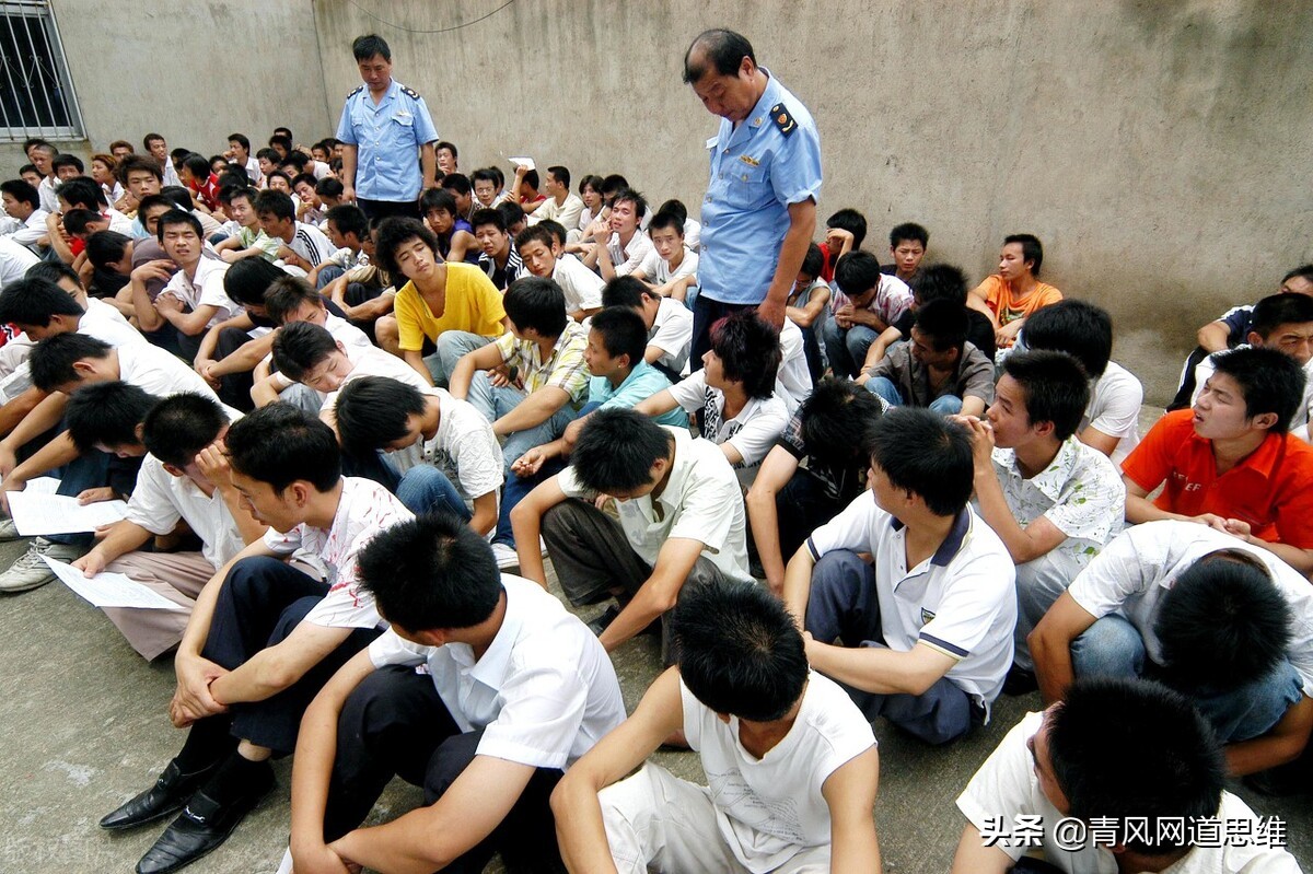 明知山有虎偏向虎山行的愚蠢行为,明知山有虎偏向虎山行是怎么回事