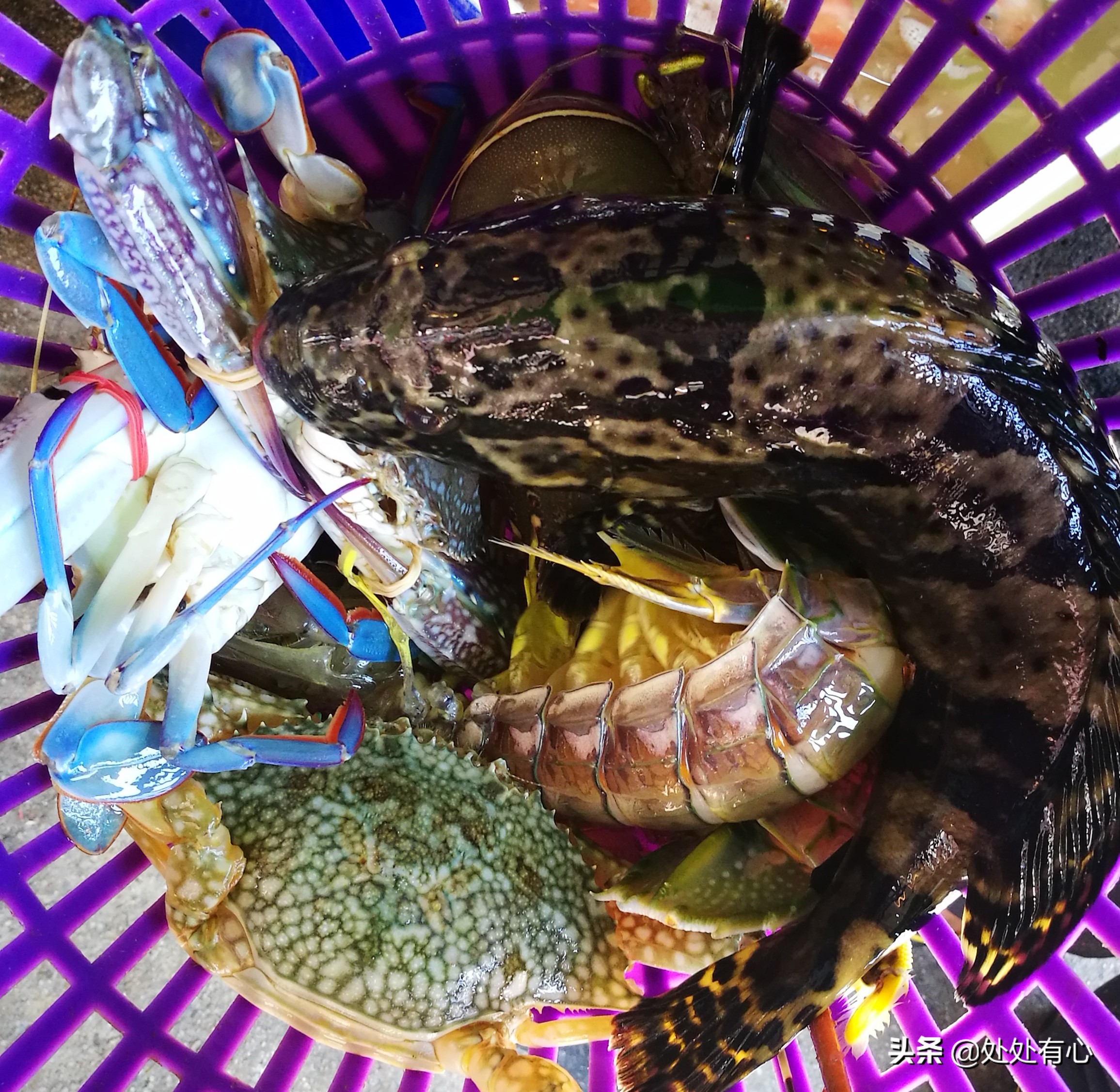 刚到泰国旅游注意事项,刚从泰国回来马上又办理旅游签证