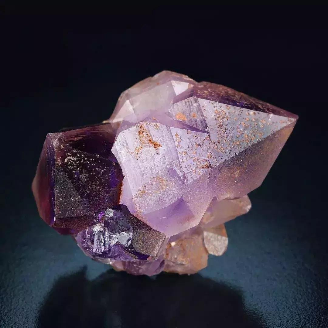 快来围观石英家族，颜值爆表