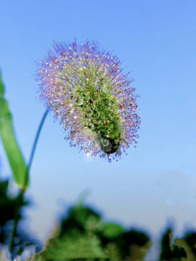 中国诗歌杂志2024年4期目录,中国诗歌周刊第185期