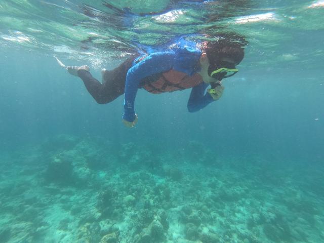 马累市区周边浮潜,马累本岛浮潜