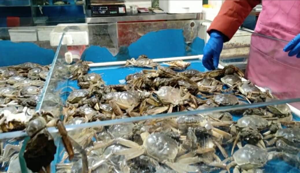 螃蟹大虾海鲜市场,海鲜市场螃蟹哪里最便宜