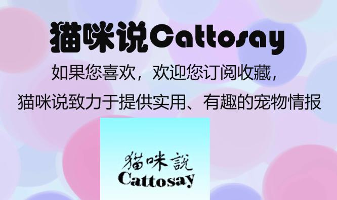 狗胃破裂能活多久,狗食道出血什么症状