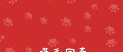 猫主子受伤了怎么处理,猫咪生病铲屎官做些什么