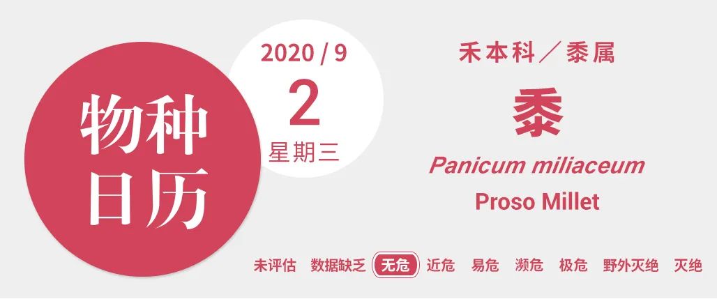 “我五谷不分。”“没关系，大家都分不清。”