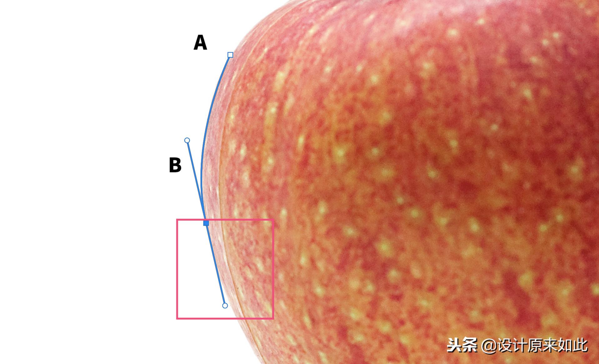 ps办公技巧教程新手p图,ps钢笔工具怎么抠图背景为透明