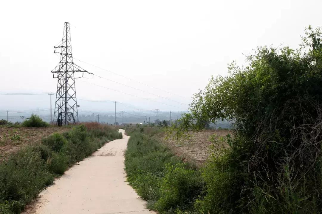 井陉县创业代理,井陉县加盟项目