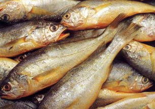 孕期需要额外补充dha吗,如何额外补充dha和ara