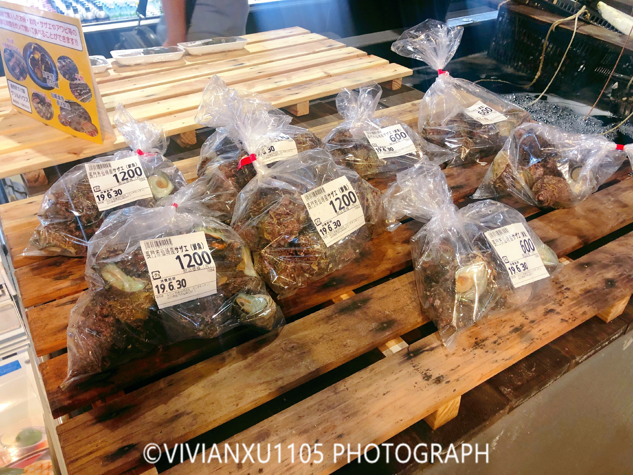 日本下关和广岛,发现不一样的风景