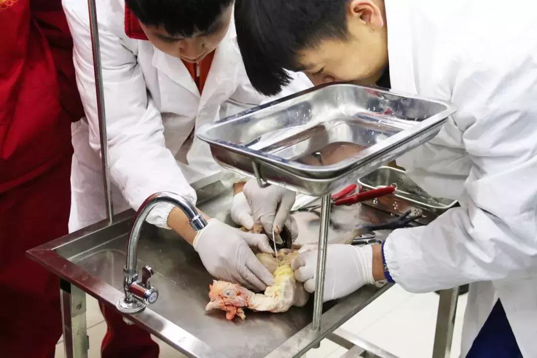 厉害了我们的新时代内容简介,松桃中等职业学校