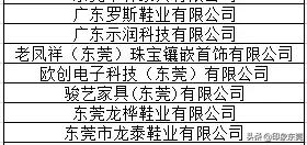 东莞20家企业获奖名单,东莞有哪些大企业名单