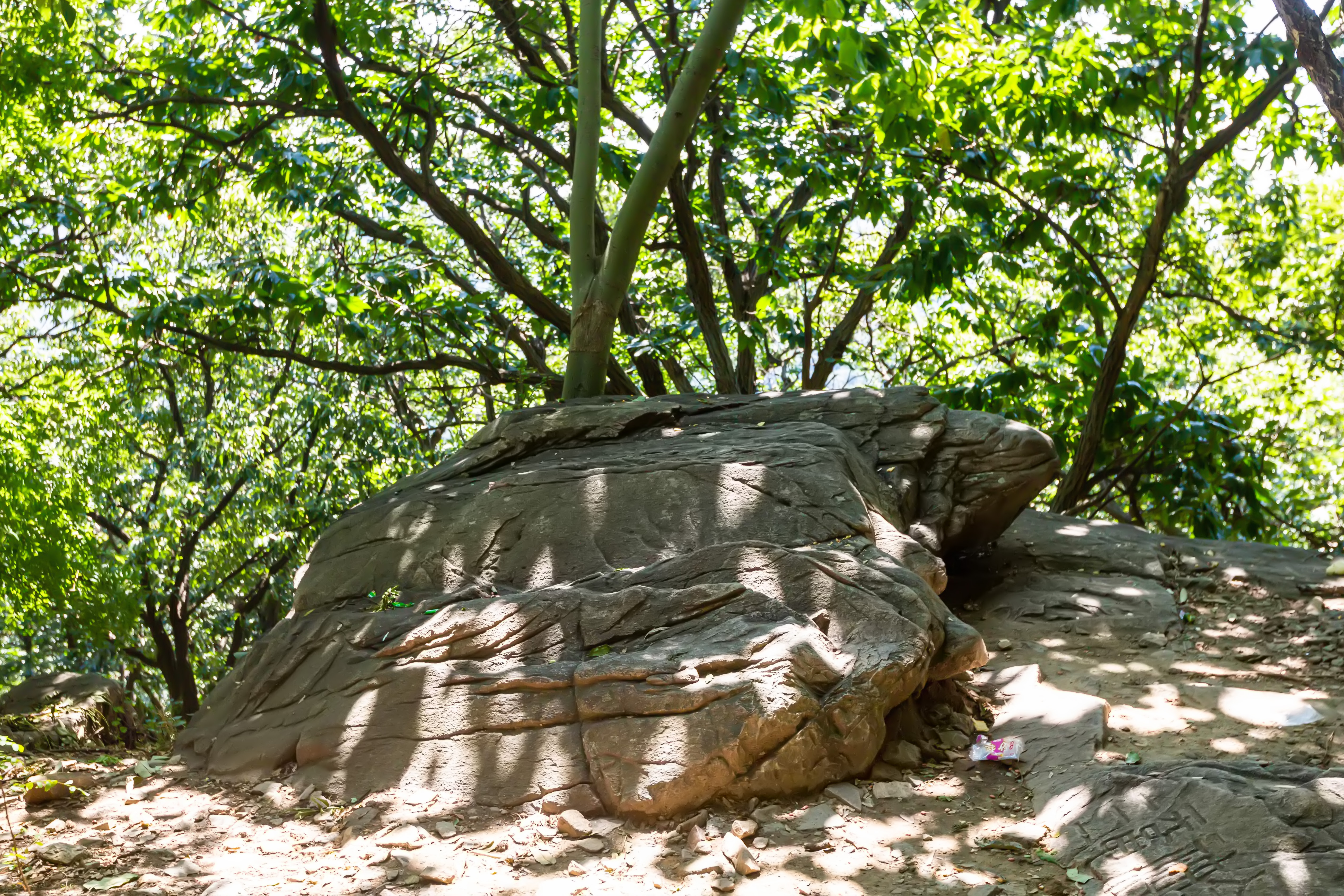 花果山景区的游玩攻略,情侣花果山旅游攻略