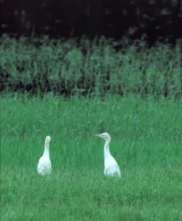 昆明水源地风景区,昆明最好的水源地