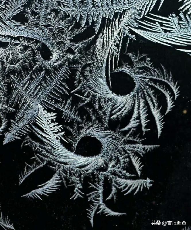 清晨玻璃窗上结满了霜花,唐古拉玻璃窗上的霜花