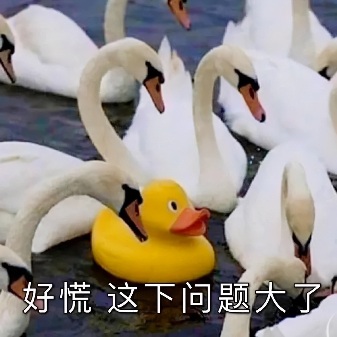 接地气但不能接地府之类的梗,可以接地气但不能接地府梗抖音