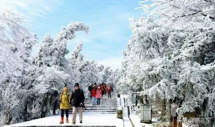 南轩传奇（长篇小说连载之十九）