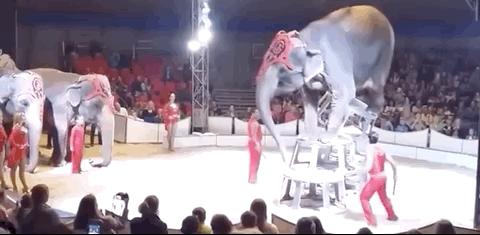 被铁链拴住的一生,被铁链绑住全身后逃脱