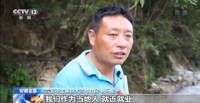 走向我们的小康生活丨安徽金寨：大湾村的美丽蝶变