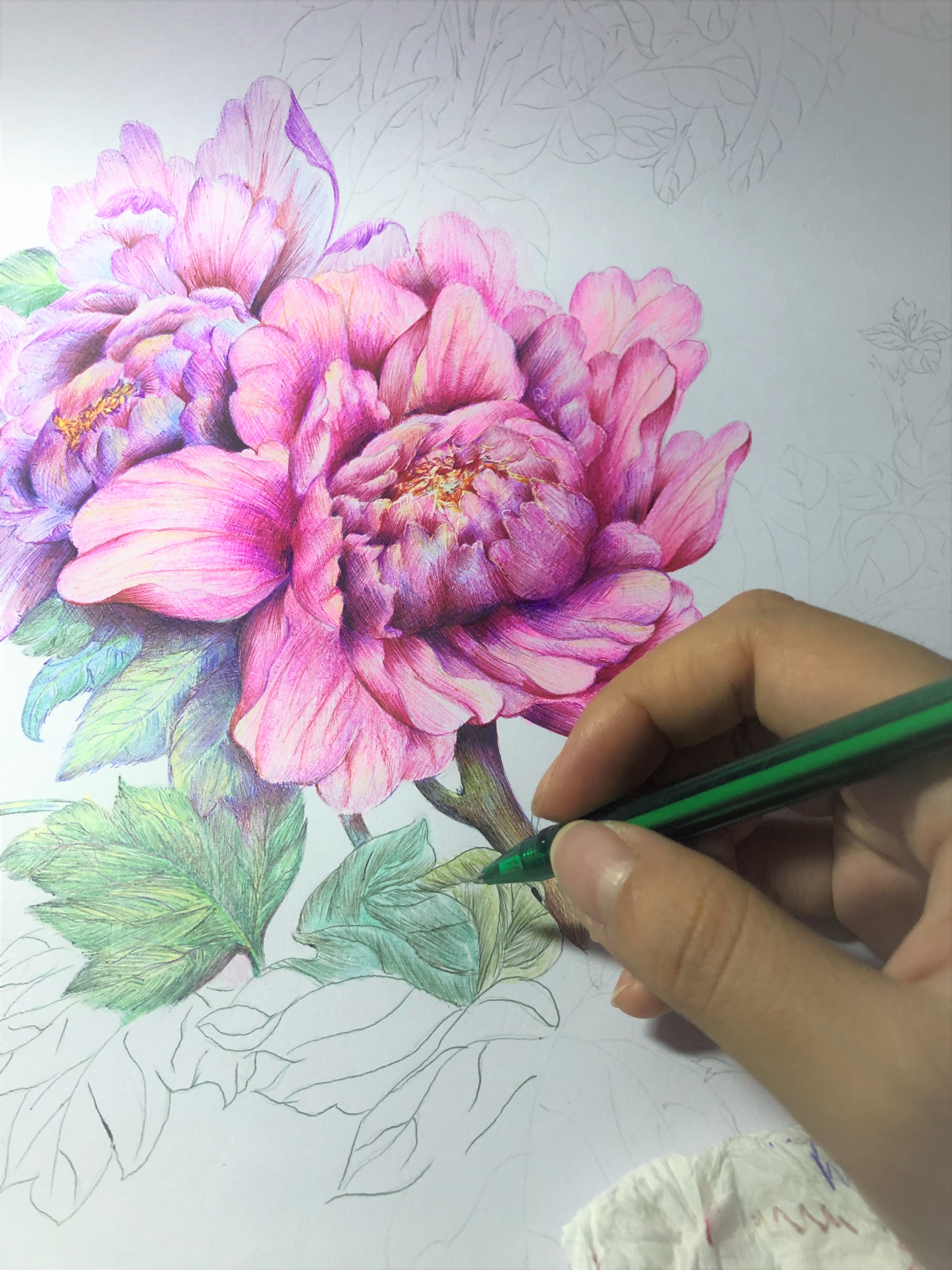 圆珠笔画牡丹教学,圆珠笔画牡丹的画法