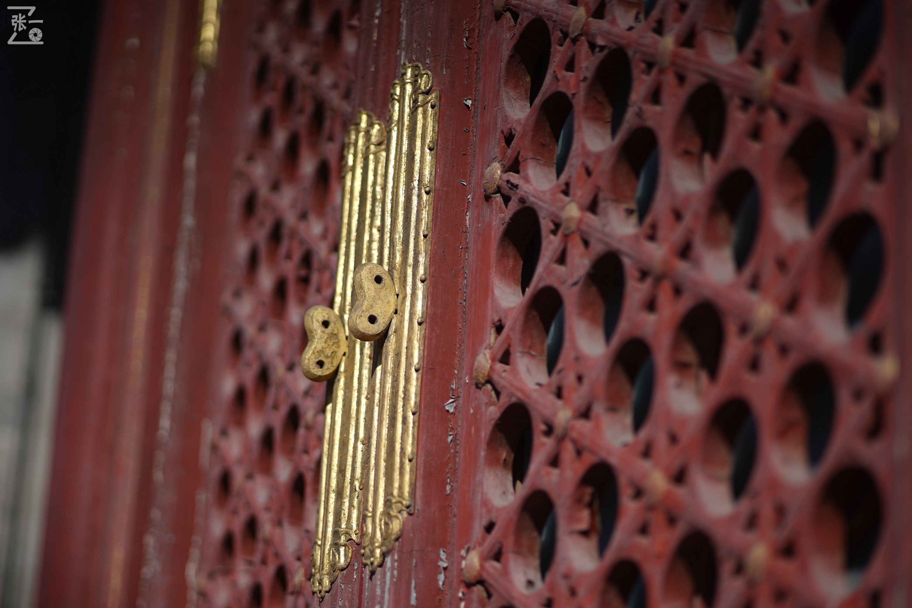 日本老镜头,canon老相机曝光