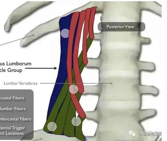 大哥洗脚完脚腰疼到不能走路，究竟是怎么回事？