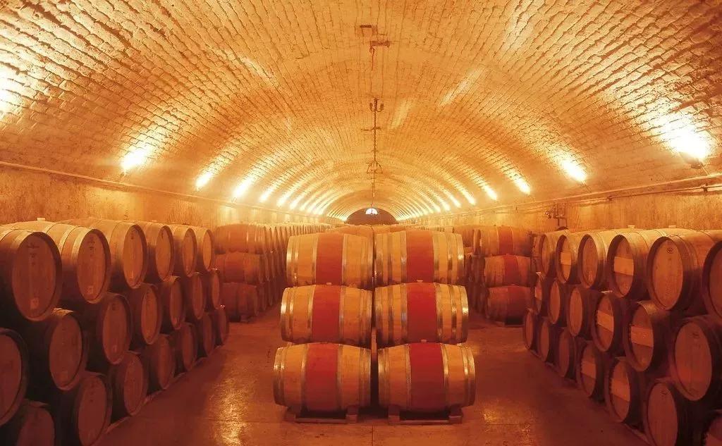 法国干红葡萄酒酿造过程,葡萄酒酿造过程