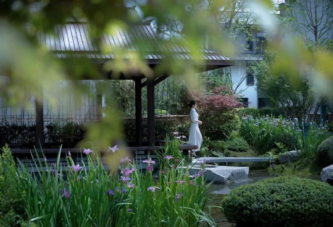 荣获乡村振兴优秀证书,2023乡村振兴成就奖