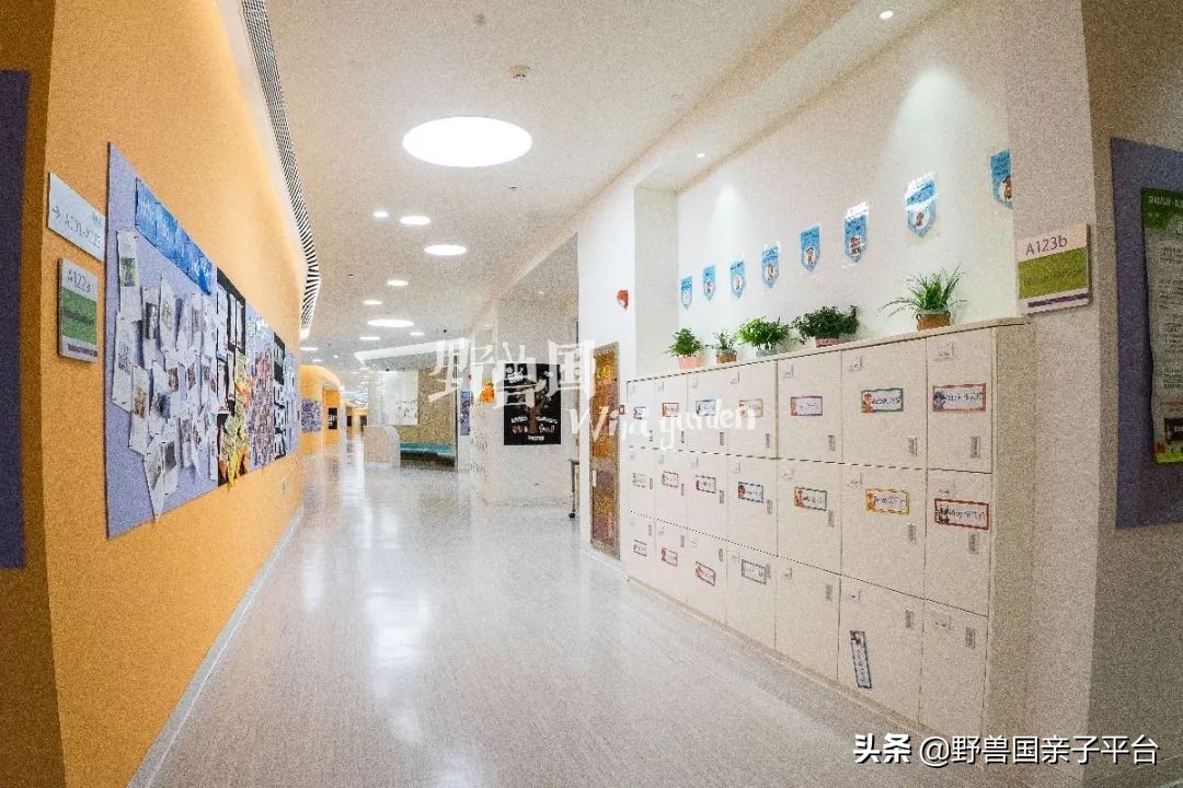 一年20万学费的清澜山学校,都在学些什么?