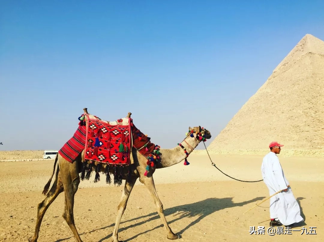 「暴走一九五」春节长假还在纠结？推荐几个拿起护照就能走的国家