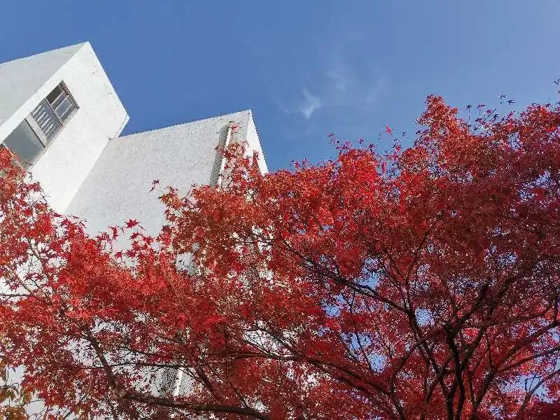 江苏省淮阴师范学院图片,江苏高校简介淮阴工学院