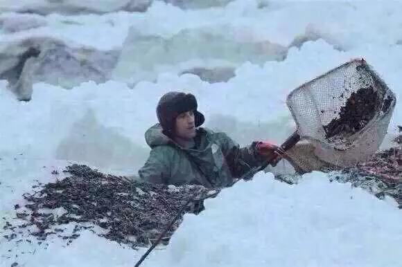 老蜜蜡与新蜜蜡区别是什么,老蜜蜡和新蜜蜡的区别有什么