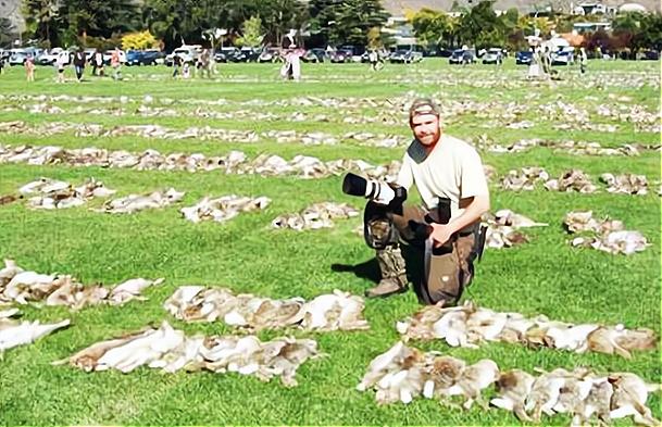 澳大利亚的野兔为什么会泛滥成灾,澳洲人怎么吃野兔的
