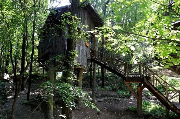 山东民宿景观设计推荐哪家,山东室内民宿图片大全